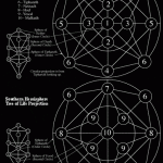 The Millennium Workings: Ophanic Impact Interface with Humanity